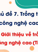 Bài 20. Giới thiệu về trồng trọt công nghệ cao (Tiết 1)